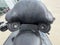 2013 Harley-Davidson Ultra Classic CVL